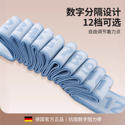 Resistance Bands for Middle-Aged and Elderly People, Digital Resistance Bands for Leg Exercises, Elastic Bands for Ankle Rehabilitation, Strength Training, and - image 2