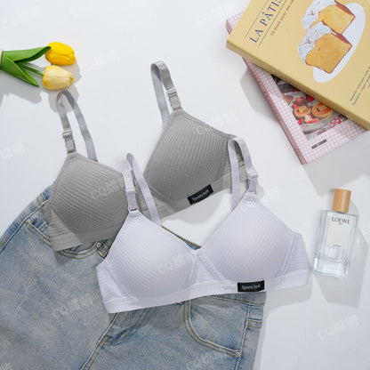 Cross-Border Southeast Asian Underwear Student Cotton Wire-Free Girl Amusement Park Thin Bra Simple Push-Up Bra - image 4