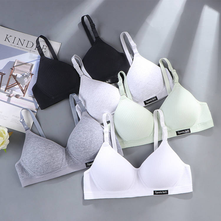 Comfortable Seamless Underwear for Girls in Their Developmental Stage, High School Students, Small Busts, Push-Up, No Underwire Bra, Thin Style - image 1