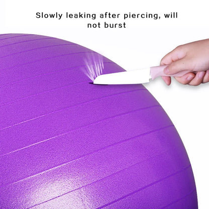 Yoga Fitball Exercise Ball