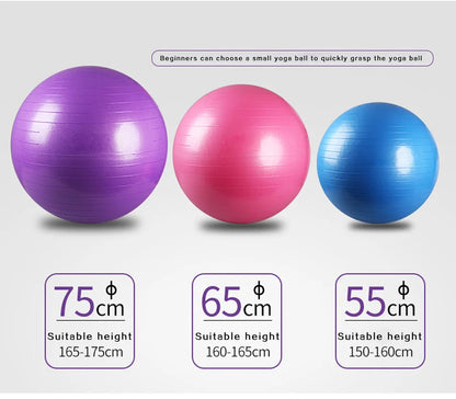 Yoga Fitball Exercise Ball