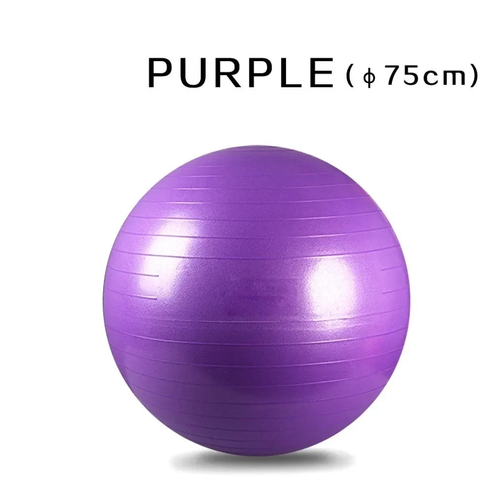 Yoga Fitball Exercise Ball