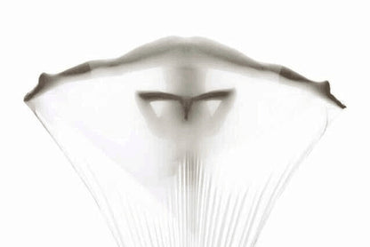 Yoga Hammock: Aerial 5 Meters